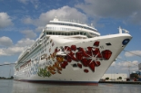 Norwegian Gem