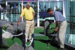 Royal Caribbean Brilliance of the Seas images
