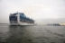 Crown Princess