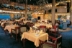 ms Volendam