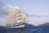 Royal Clipper