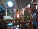 Star Clippers Star Flyer images